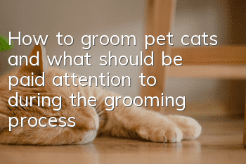 How to groom pet cats and what should be paid attention to during the grooming process?