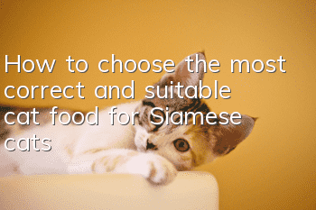How to choose the most correct and suitable cat food for Siamese cats?
