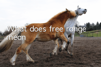 What does free range mean?