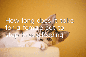 How long does it take for a female cat to stop breastfeeding?