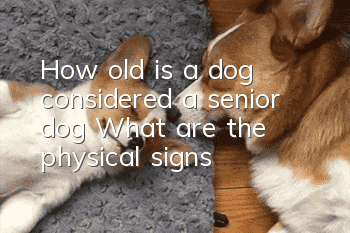 How old is a dog considered a senior dog? What are the physical signs?