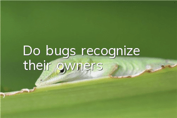 Do bugs recognize their owners?