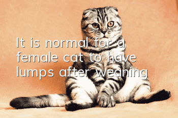 It is normal for a female cat to have lumps after weaning