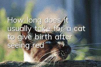 How long does it usually take for a cat to give birth after seeing red?