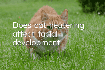 Does cat neutering affect facial development?