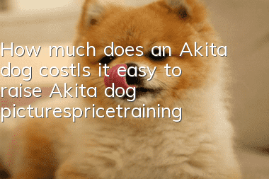How much does an Akita dog cost_Is it easy to raise? Akita dog pictures_price_training