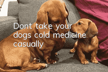 Don’t take your dog’s cold medicine casually!
