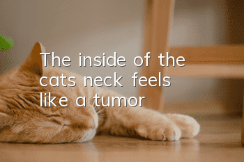 The inside of the cat's neck feels like a tumor