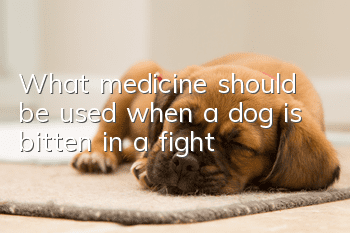 What medicine should be used when a dog is bitten in a fight?