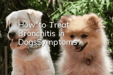 How to Treat Bronchitis in Dogs_Symptoms