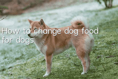 How to change dog food for dogs?