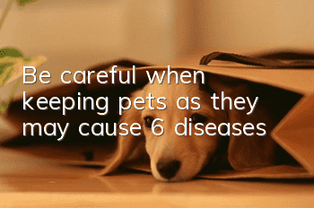 Be careful when keeping pets as they may cause 6 diseases