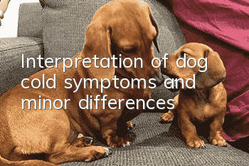 Interpretation of dog cold symptoms and minor differences