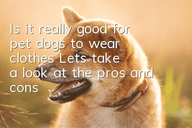 Is it really good for pet dogs to wear clothes? Let’s take a look at the pros and cons!
