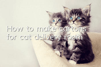 How to make cartons for cat delivery room