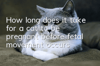 How long does it take for a cat to be pregnant before fetal movement occurs?