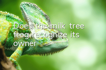 Does the milk tree frog recognize its owner?