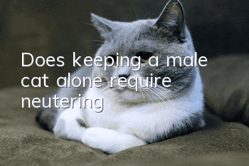 Does keeping a male cat alone require neutering?