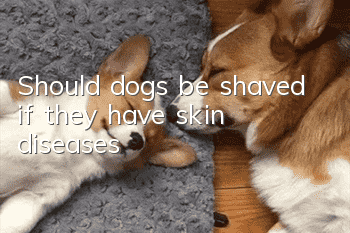 Should dogs be shaved if they have skin diseases?