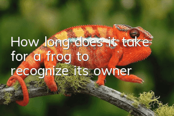 How long does it take for a frog to recognize its owner?
