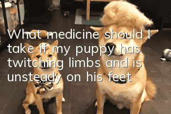 What medicine should I take if my puppy has twitching limbs and is unsteady on his feet?