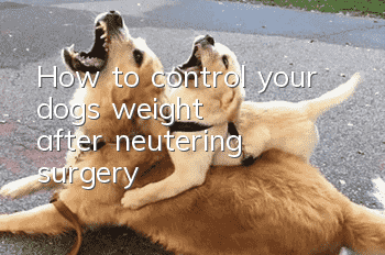 How to control your dog's weight after neutering surgery?