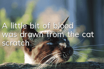 A little bit of blood was drawn from the cat scratch