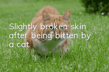 Slightly broken skin after being bitten by a cat