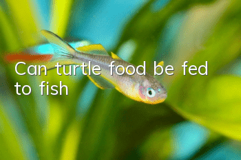 Can turtle food be fed to fish?