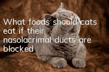 What foods should cats eat if their nasolacrimal ducts are blocked?