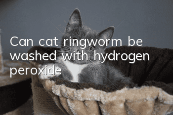 Can cat ringworm be washed with hydrogen peroxide?