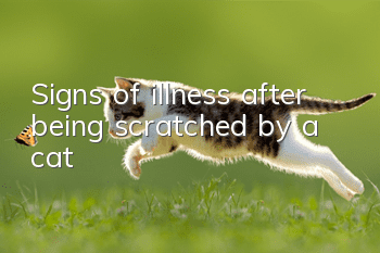 Signs of illness after being scratched by a cat
