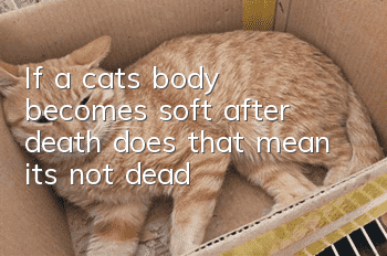 If a cat’s body becomes soft after death, does that mean it’s not dead?