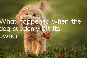 What happened when the dog suddenly bit its owner?