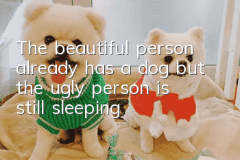 The beautiful person already has a dog, but the ugly person is still sleeping!