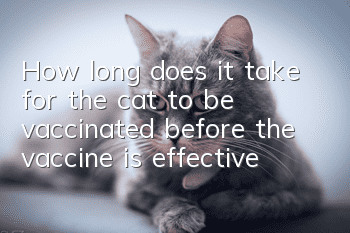 How long does it take for the cat to be vaccinated before the vaccine is effective?