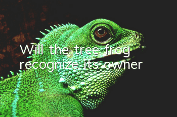 Will the tree frog recognize its owner?