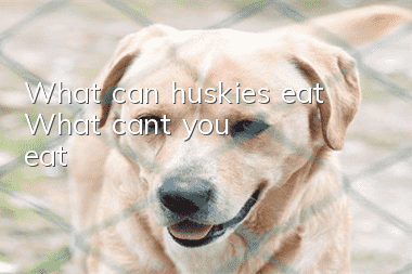 What can huskies eat? What can't you eat?