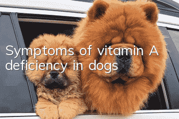 Symptoms of vitamin A deficiency in dogs
