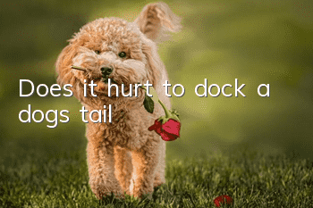 Does it hurt to dock a dog’s tail?