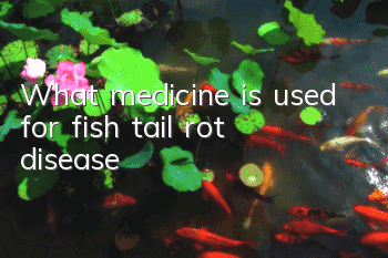 What medicine is used for fish tail rot disease?