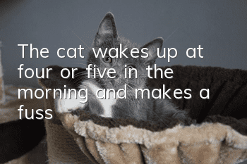 The cat wakes up at four or five in the morning and makes a fuss