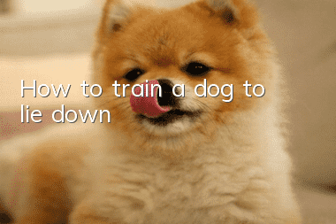 How to train a dog to lie down?