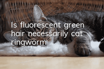 Is fluorescent green hair necessarily cat ringworm?