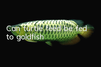 Can turtle feed be fed to goldfish?