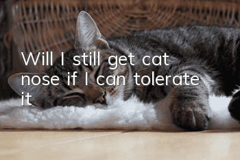 Will I still get cat nose if I can tolerate it?