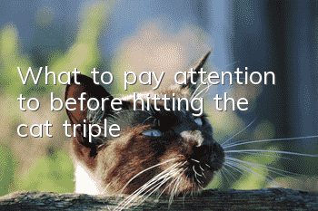 What to pay attention to before hitting the cat triple