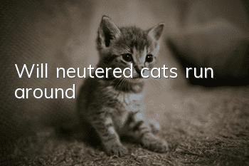 Will neutered cats run around?