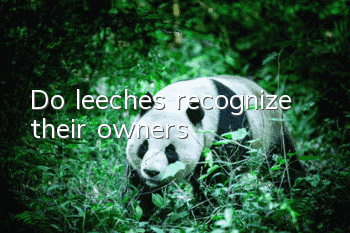 Do leeches recognize their owners?