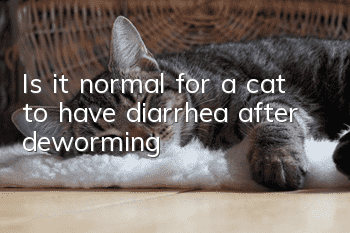 Is it normal for a cat to have diarrhea after deworming?